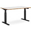 Novigami Ototo Standing Desk - Electric Height Adjustable