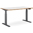 Novigami Ototo Standing Desk - Electric Height Adjustable