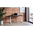 Novigami Josi Standing Desk - Electric Height Adjustable