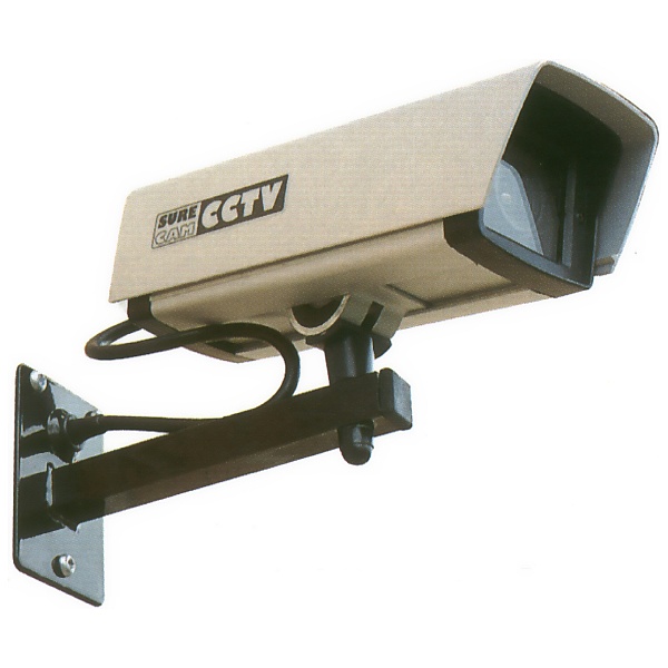 External Decoy CCTV Camera