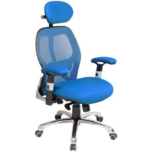 Ergo-tek Blue Mesh Office Chair