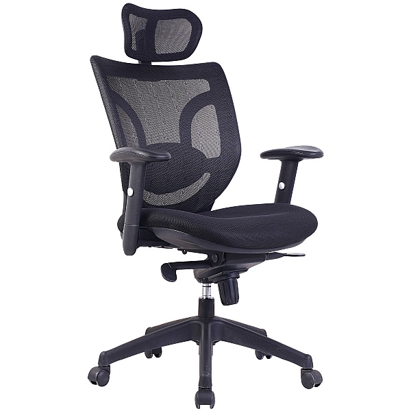 Aral Mesh Back Manager Chair