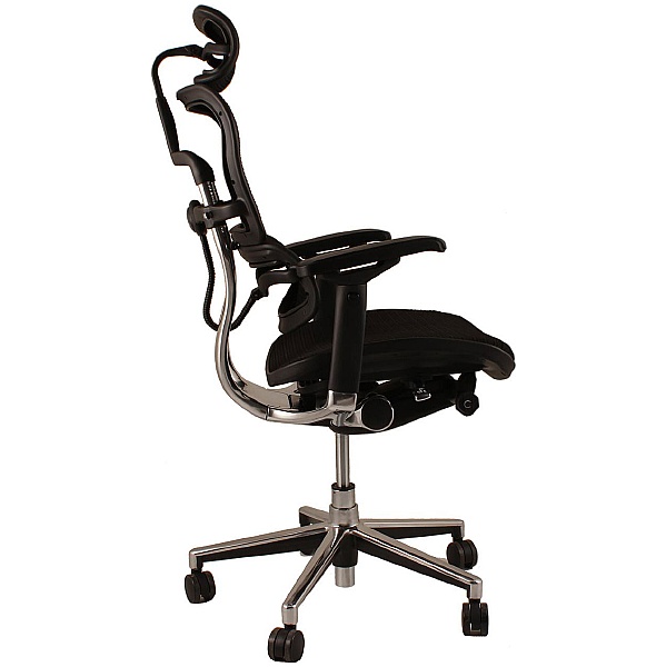 Ergohuman Elite Mesh Office Chairs (With Headrest)