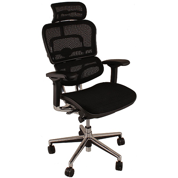 Ergohuman mesh chair Clearance