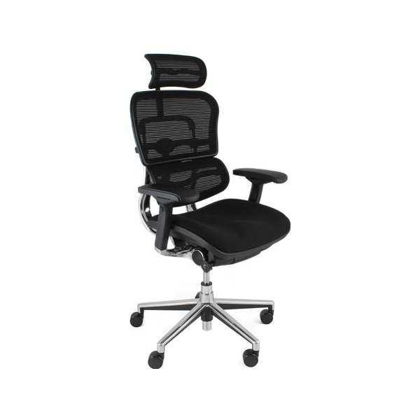 Ergohuman Mesh & Fabric Office Chairs (With Headre