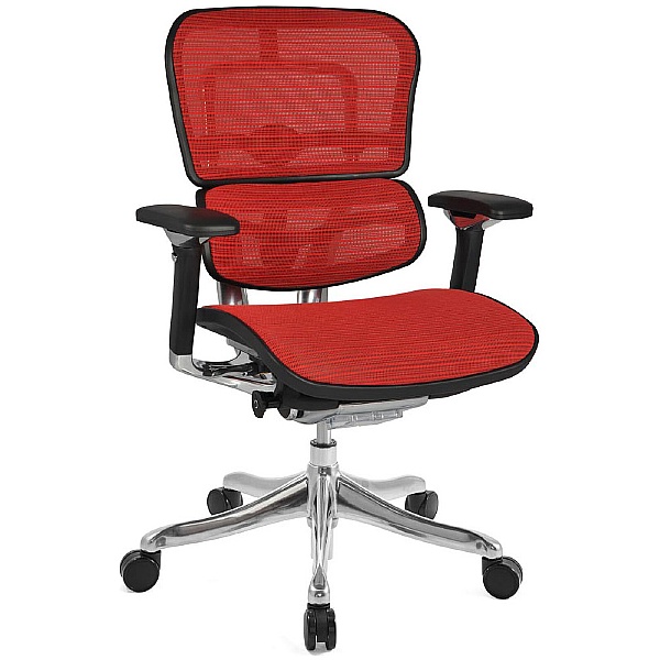 Ergohuman Plus Luxury Mesh Office Chair (Without Headrest)