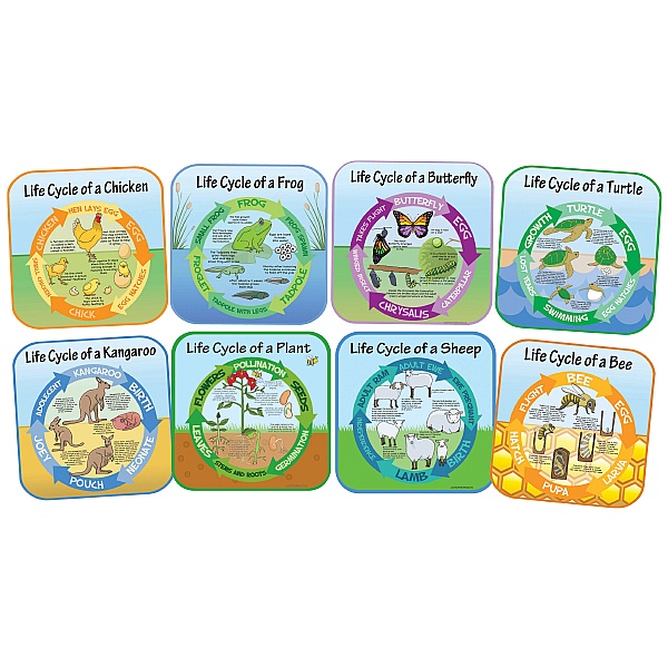 Life Cycle Full Set Of 8 Signs