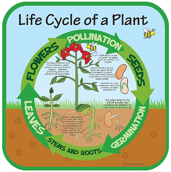 Life Cycle Of A Plant Sign