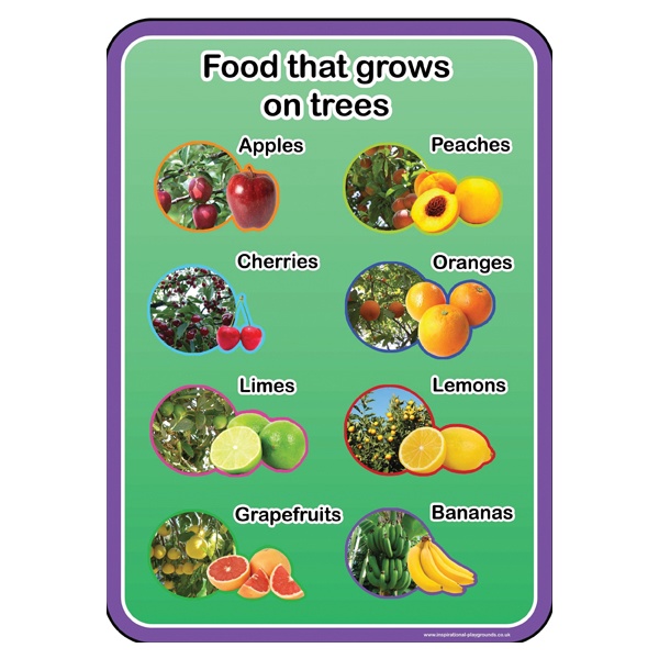 Healthy Eating Food From Trees Sign