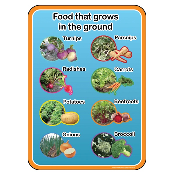 Healthy Eating Food From The Ground Sign