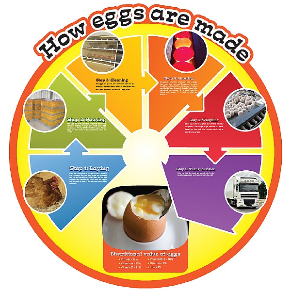 How Eggs Are Made Food Cycle Sign