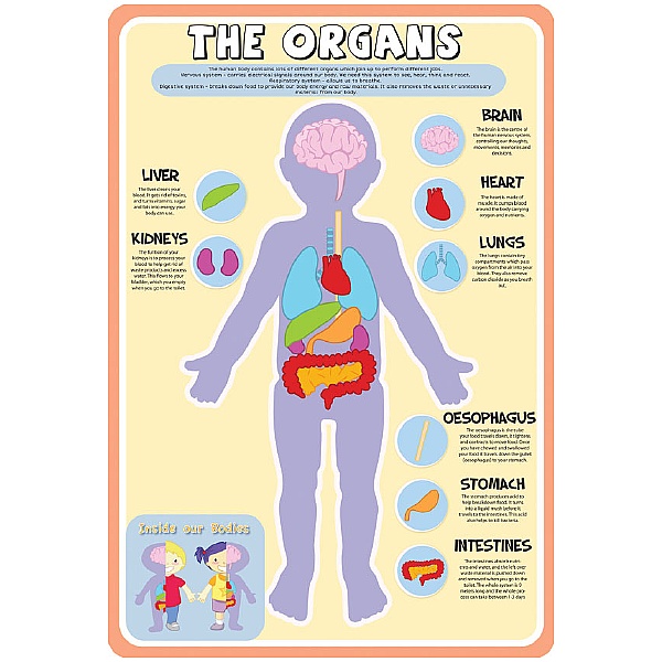 The Organs Sign