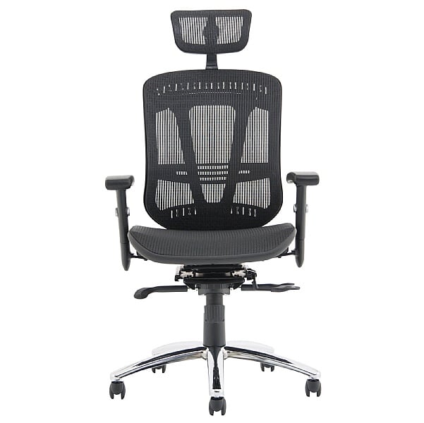 Carinosa II Mesh Office Chair