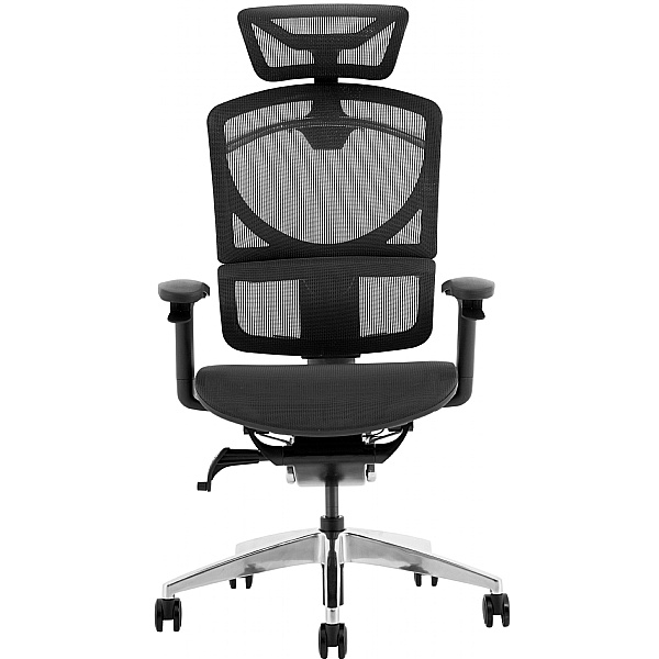 Ergo Posture Plus 24 Hour Mesh Office Chair