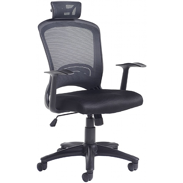 Energise Mesh Back Office Chair