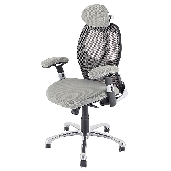 ErgoTek 24Hr Mesh Executive Office Chair Office Furniture Online
