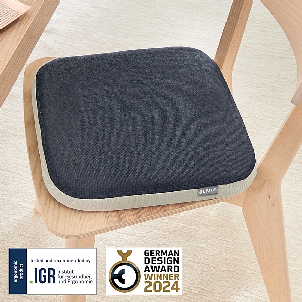 Leitz Ergo Active Wobble Cushion