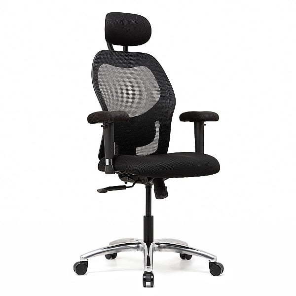 Ergo-Tek Mesh Executive Office Chair