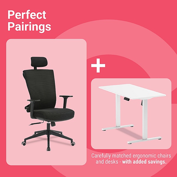 Perfect Pair Bundle 1: Santiago Ergonomic Posture Chair & Mono Compact Standing Desk