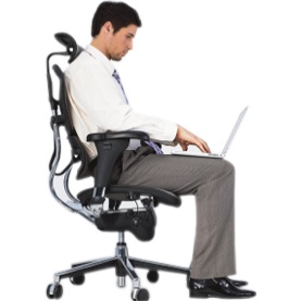 Ergohuman Elite Leather Office Chairs (With Headrest)