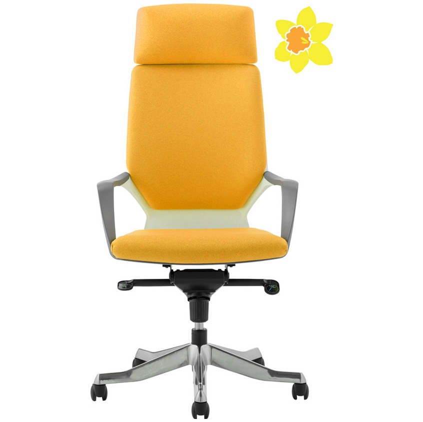 Profi Executive Office Chair Donate to Cancer Charity Operator