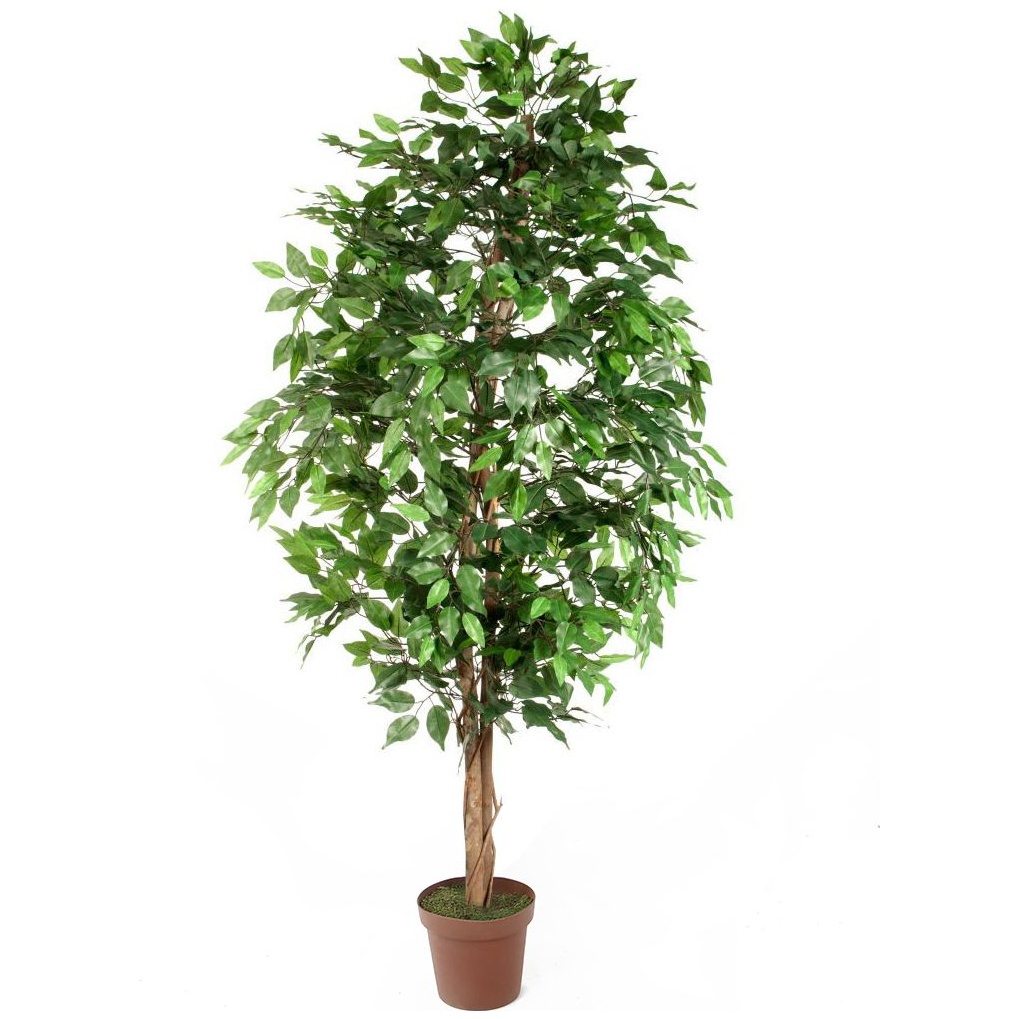 Ficus Benjamina Danielle Weeping Fig Tree - 6ft | Artificial Plants