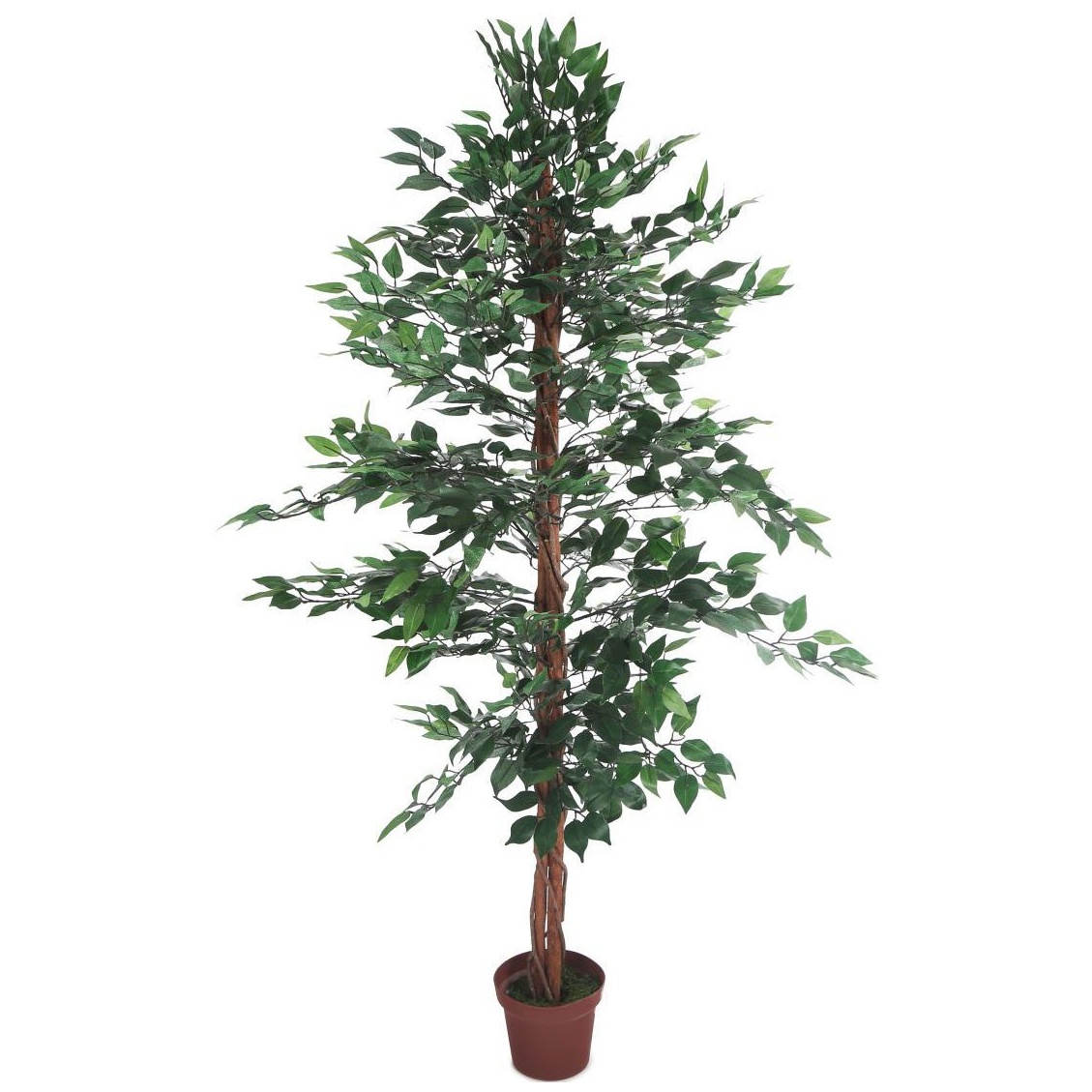 Ficus Benjamina Midnight Weeping Fig Tree - 6ft | Artificial Plants