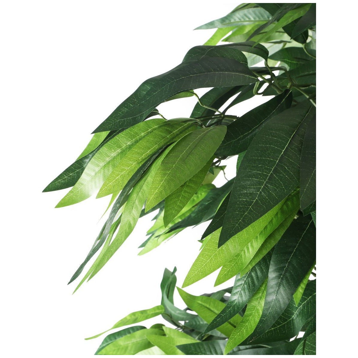 Mango Tree with Natural Stem - 6ft | Artificial Plants